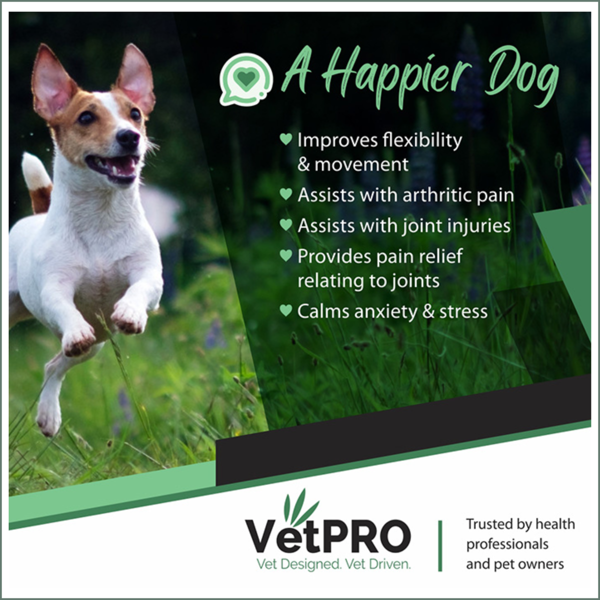 VetPro Canine CBD Joint Support