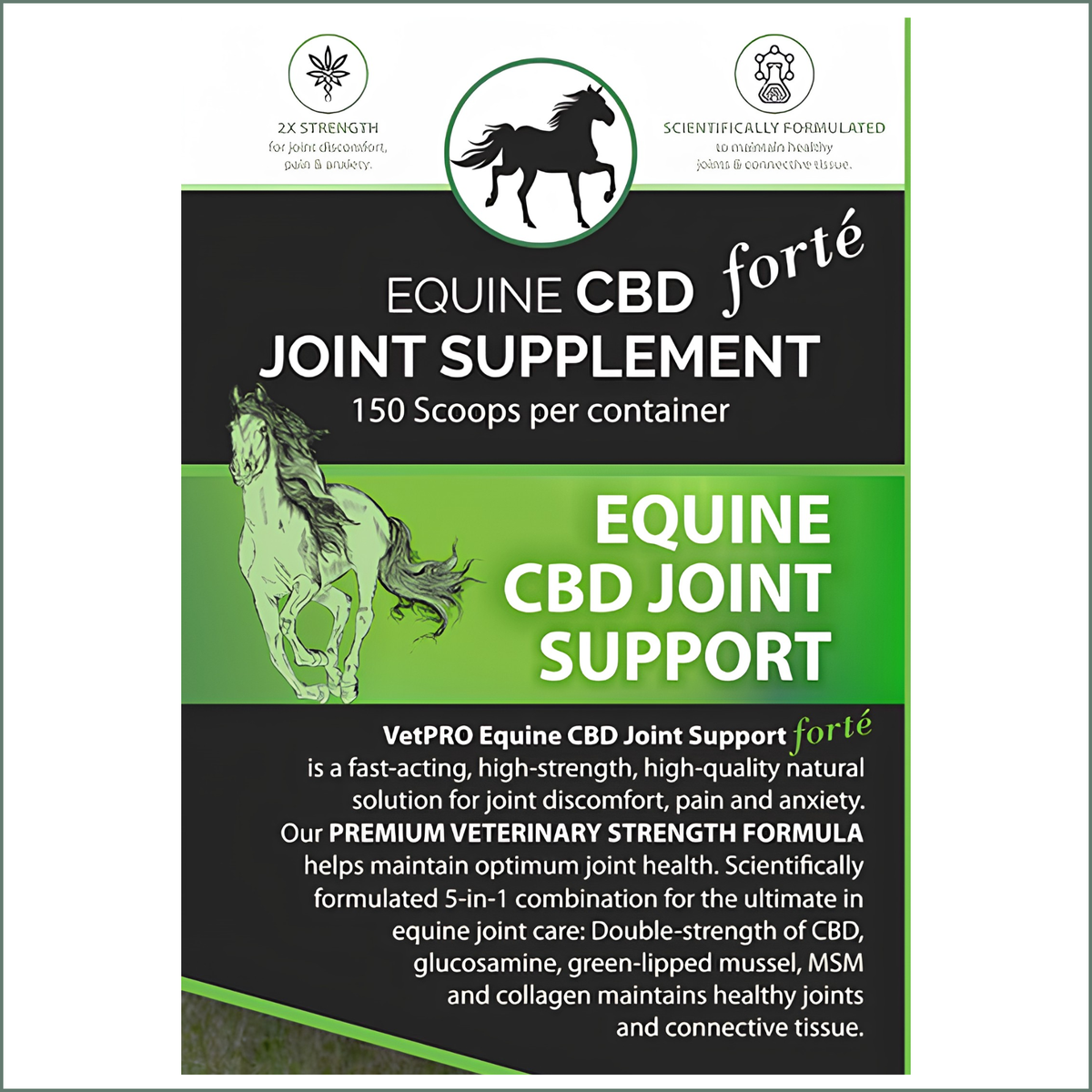 VetPro Equine CBD Joint Support FORTE